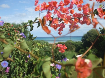 Location saisonniere de vacances maison Kelibia