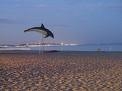 Location saisonniere de vacances maison cap d'agde